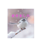 リアルなシマエナガのスタンプ（個別スタンプ：24）