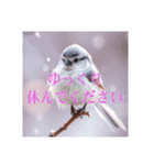 リアルなシマエナガのスタンプ（個別スタンプ：28）