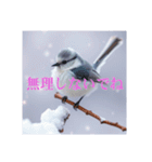 リアルなシマエナガのスタンプ（個別スタンプ：29）