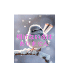 リアルなシマエナガのスタンプ（個別スタンプ：32）