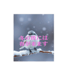 リアルなシマエナガのスタンプ（個別スタンプ：35）