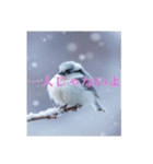 リアルなシマエナガのスタンプ（個別スタンプ：37）