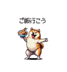 お誘いで使える 太っちょ柴犬（個別スタンプ：1）