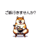 お誘いで使える 太っちょ柴犬（個別スタンプ：2）