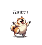 お誘いで使える 太っちょ柴犬（個別スタンプ：3）