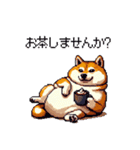 お誘いで使える 太っちょ柴犬（個別スタンプ：7）