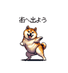 お誘いで使える 太っちょ柴犬（個別スタンプ：8）