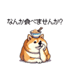 お誘いで使える 太っちょ柴犬（個別スタンプ：12）