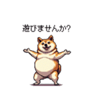 お誘いで使える 太っちょ柴犬（個別スタンプ：13）