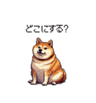 お誘いで使える 太っちょ柴犬（個別スタンプ：15）