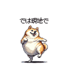 お誘いで使える 太っちょ柴犬（個別スタンプ：16）