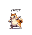 お誘いで使える 太っちょ柴犬（個別スタンプ：17）