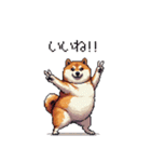 お誘いで使える 太っちょ柴犬（個別スタンプ：19）