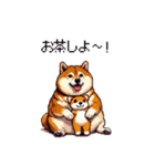 お誘いで使える 太っちょ柴犬（個別スタンプ：20）