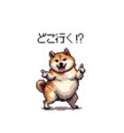 お誘いで使える 太っちょ柴犬（個別スタンプ：21）