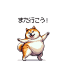 お誘いで使える 太っちょ柴犬（個別スタンプ：24）