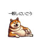 お誘いで使える 太っちょ柴犬（個別スタンプ：27）