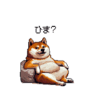 お誘いで使える 太っちょ柴犬（個別スタンプ：29）