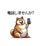 お誘いで使える 太っちょ柴犬（個別スタンプ：30）