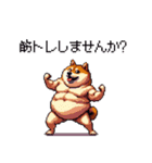 お誘いで使える 太っちょ柴犬（個別スタンプ：31）