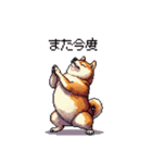 お誘いで使える 太っちょ柴犬（個別スタンプ：35）