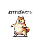 お誘いで使える 太っちょ柴犬（個別スタンプ：39）