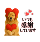 ゴールデンレトリバー★毎日使う気遣い♡（個別スタンプ：3）
