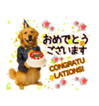 ゴールデンレトリバー★毎日使う気遣い♡（個別スタンプ：4）