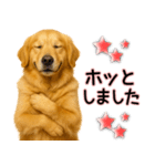 ゴールデンレトリバー★毎日使う気遣い♡（個別スタンプ：14）