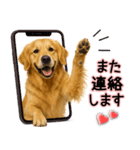 ゴールデンレトリバー★毎日使う気遣い♡（個別スタンプ：30）