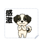 毎日使える♡POPOTYのメッセージスタンプ（個別スタンプ：1）