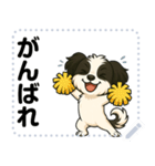 毎日使える♡POPOTYのメッセージスタンプ（個別スタンプ：20）