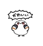 ふわふわシマエナガのフキダシスタンプ（個別スタンプ：6）