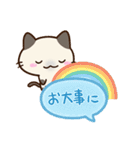 小さいシャム猫【吹き出し】（個別スタンプ：11）