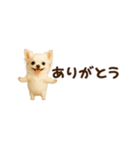 動く！小さいチワワ（個別スタンプ：8）