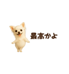 動く！小さいチワワ（個別スタンプ：15）