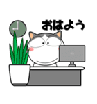 ハチワレ猫★ビジネス敬語（個別スタンプ：1）