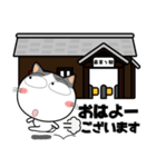 ハチワレ猫★ビジネス敬語（個別スタンプ：3）