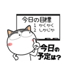 ハチワレ猫★ビジネス敬語（個別スタンプ：7）