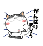 ハチワレ猫★ビジネス敬語（個別スタンプ：10）
