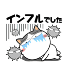 ハチワレ猫★ビジネス敬語（個別スタンプ：15）