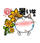 ハチワレ猫★ビジネス敬語（個別スタンプ：22）