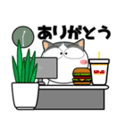 ハチワレ猫★ビジネス敬語（個別スタンプ：31）