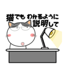ハチワレ猫★ビジネス敬語（個別スタンプ：35）