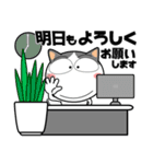 ハチワレ猫★ビジネス敬語（個別スタンプ：40）