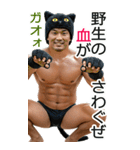 AI筋肉マッチョ@黒豹RIDERS～秋BIG（個別スタンプ：9）