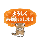 秋冬の毎日☆猫たちのスタンプ（個別スタンプ：2）