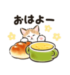 秋冬の毎日☆猫たちのスタンプ（個別スタンプ：3）