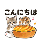 秋冬の毎日☆猫たちのスタンプ（個別スタンプ：5）