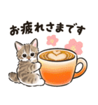 秋冬の毎日☆猫たちのスタンプ（個別スタンプ：14）